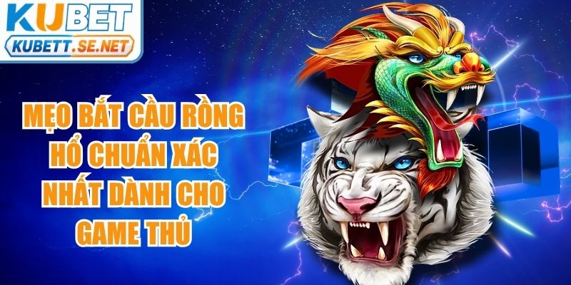 Mẹo Bắt Cầu Rồng Hổ